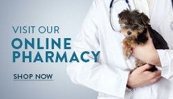 Shop now button with puppy